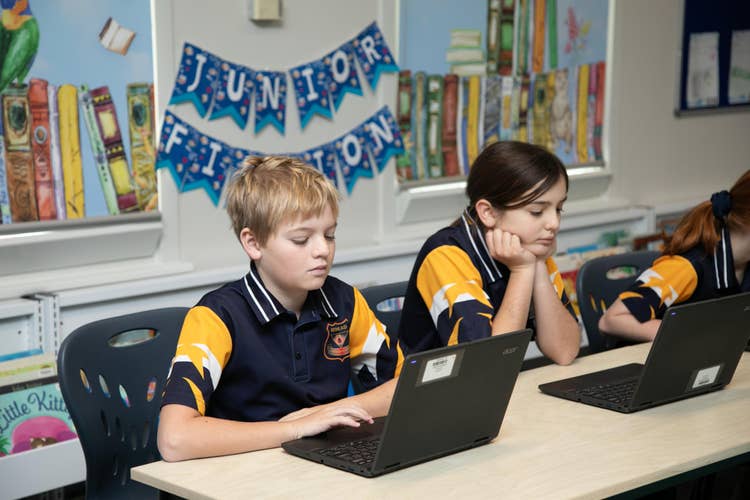 Students working on laptops